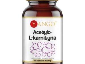 Acetylo-L-karnityna - 90 kaps.