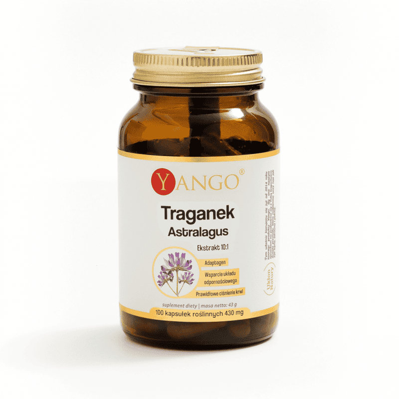 Termogeneza - 50 kapsułek - Panaseus